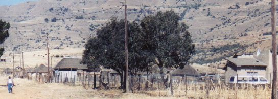 A township in South Africa