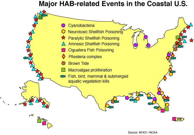 hazardoue algal blooms