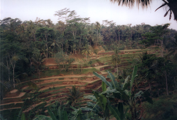 Ubud