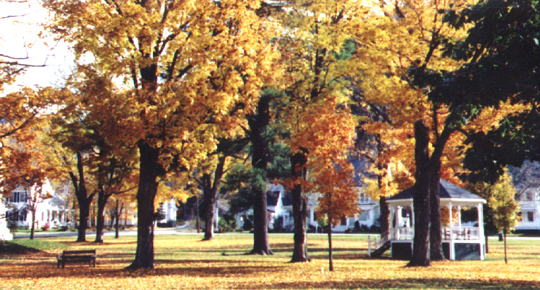 Towns and forests thrive in tandem