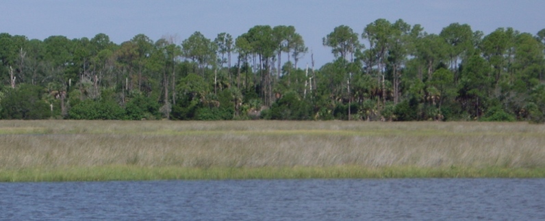 Waccasassa Bay, Gulf of Mexico