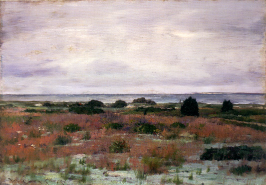 Long Island, 1895