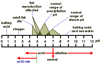 acid rain