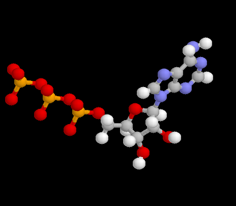 dna