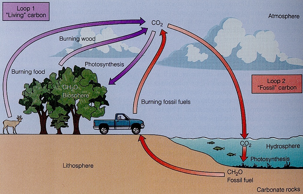 cycle