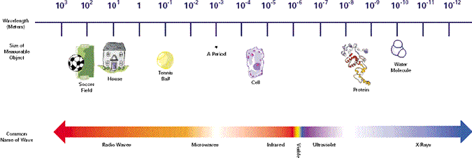 scale is horizontal