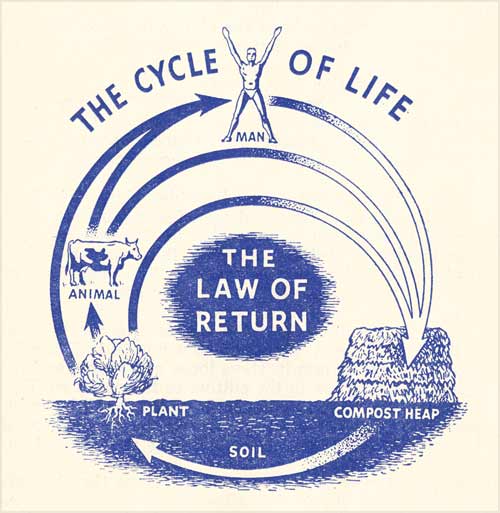 carbon cycle