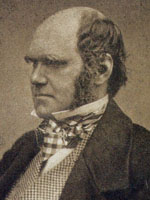 Charles Robert Darwin