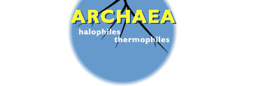 Archaea