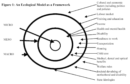 Ecological model