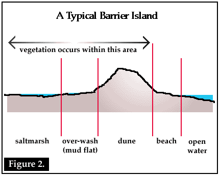 Barrier Island