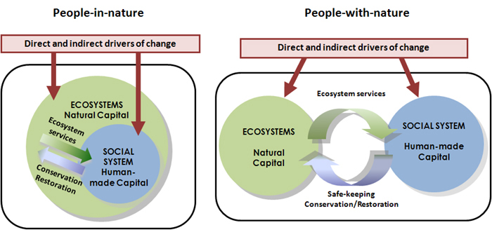 David orr ecological literacy essay