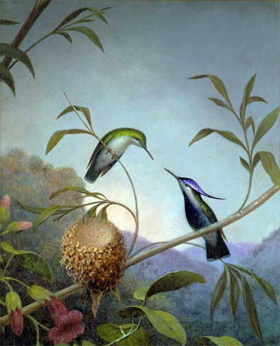 Heade