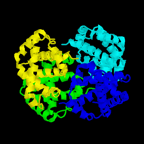 Haemoglobin