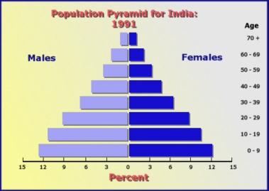 1991 population pyramid