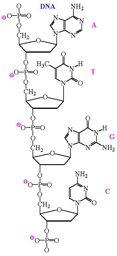 structure