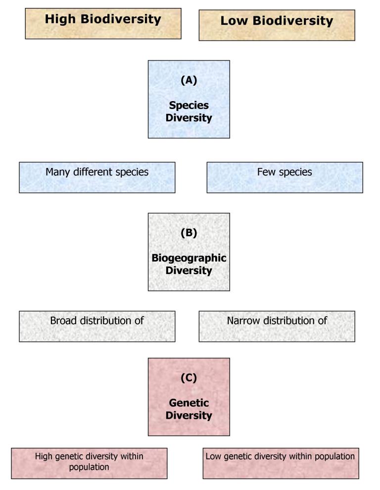 biodiversity