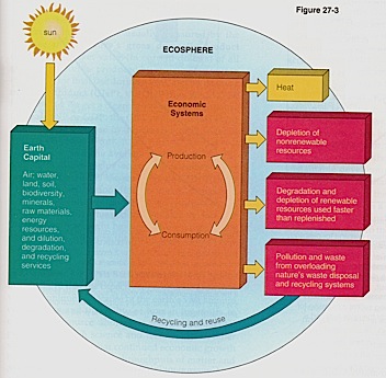 Natural capital flow