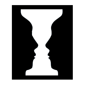 perception of faces or vase