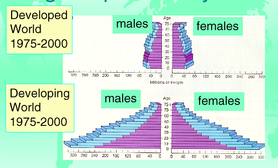 population age structure