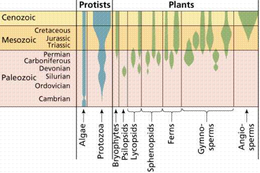 extant organisms