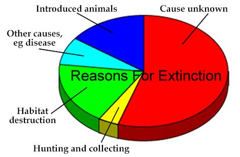 reasons for extinction