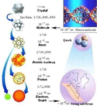 scales of smaller things