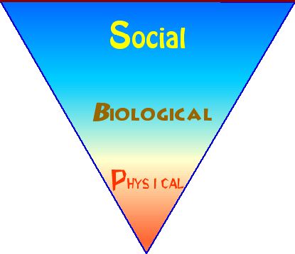 three aspects of any ecological problem