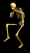 skeletal walker